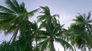 travelite - id | Trending HD Video 57