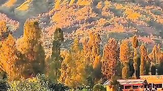 Pesona Gunung Sindoro di pagi hari dari Jalan Alternatif Temanggung - Dieng, Jumprit, Canggal, Candiroto, Temanggung #keindahanalam #gunungsindoro