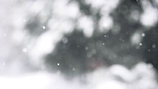 Winter Coat - blurry video of the snowfall | Trending HD Video