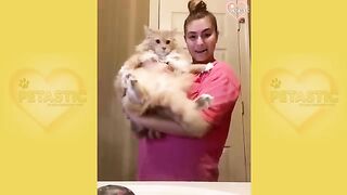 Funny Animal Videos 2026 Part 20