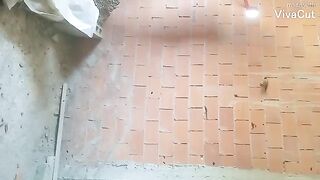 كلب المنيلوا الاصلي dog maniloua