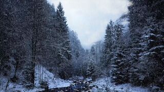 Winterhalter - id | Trending HD Video 19