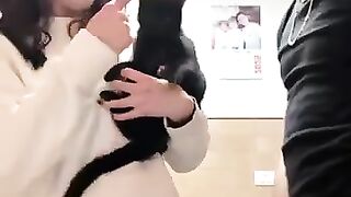 Funny Animal Videos Part 21