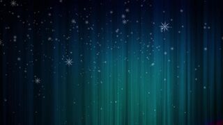Winter Coat - id | Trending HD Video 18