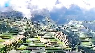 Keindahan hamparan ladang sayur di Lereng Gunung Sumbing #keindahanalam #gunungsumbing