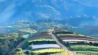 Jalan menanjak dengan Pemandangan Indah #perkebunan #sukomakmur