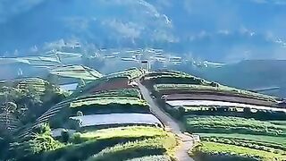Panorama Alam Gunung Sumbing #alam #gunungsumbing