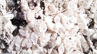 حجر مجهول في وسط طبيعة