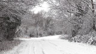 Winterhalter - snowfall over ground road | Trending HD Video