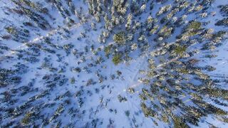 Winterhalter - id | Trending HD Video 22