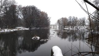 Winter Coat - a body of water in a winter forest | Trending HD Video