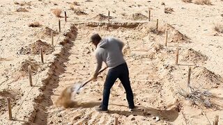 The skill of building houses in the wilderness