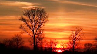 Winter Coat - id | Trending HD Video 19