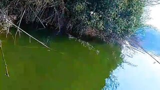 Returning Without Fish, But Stronger Than Yesterday