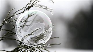 Winter Coat - id | Trending HD Video 22