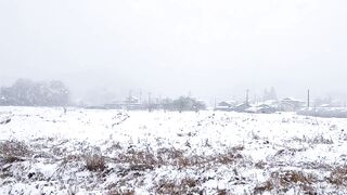 Broken Country Reese s Book Club - snowing in the country side | Trending HD Video