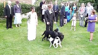 Funny Animal Videos Part 22