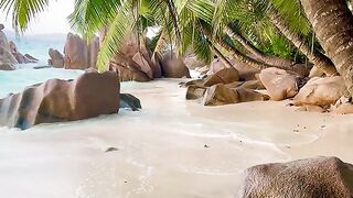 Ma plage préférée ????????️