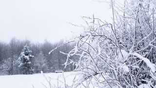Winter solstice - id | Trending HD Video 24
