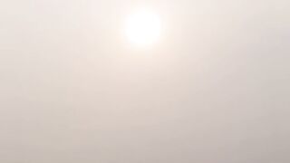 On this sweet morning wrapped in a blanket of fog, a pinch of sunshine and a lot of love
