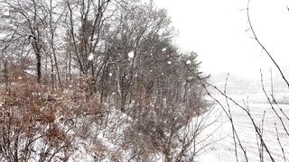 Winter Coat - id | Trending HD Video 24