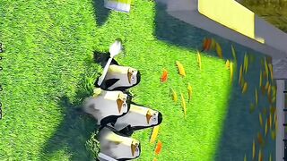 Penguins 7