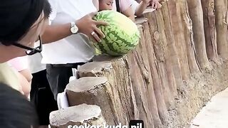 Kuda Nil Yang Malang