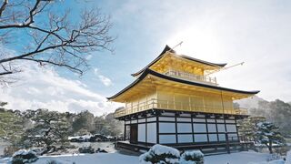 Winter solstice - id | Trending HD Video 29 2