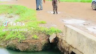 dfgsdf 2