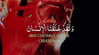 Quran Majeed Tilawat | heart touching voice