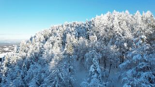 Winterhalter - id | Trending HD Video 25