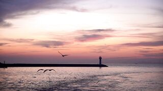 Travelon - serene sunset seascape with flying seagulls | Trending HD Video