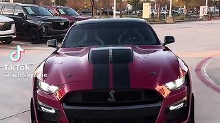 Exterior Design and Aesthetics 3