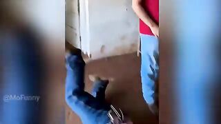Funny Videos Part 8