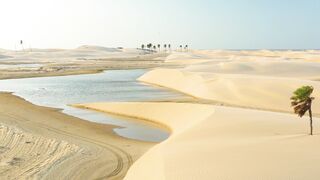 Travelon - id | Trending HD Video 17