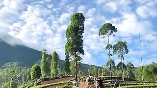 Farmers who are so enthusiastic walking towards the fields on such a beautiful day in Sukamanah Village, Garut, West Java ????????