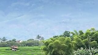 The perfect rural nature in Garut, West Java, on a bright morning, Subhanallah ????????