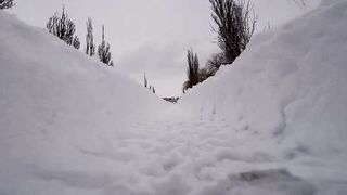 Winter solstice - following vehicles tracks in traveling a snow covered road | Trending HD Vide