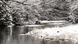 Winter solstice - view of the lake on a snowy day | Trending HD Video