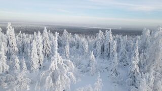 Snow boot - id | Trending HD Video 16