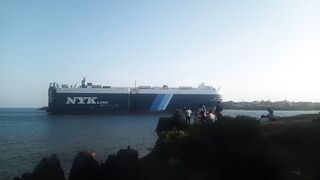 Sea transportation cargo ship NYK Line