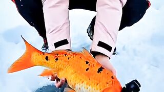 fish'$ Pov: Exploring The beauty Of mosque under the sea  #shorts  #Fish