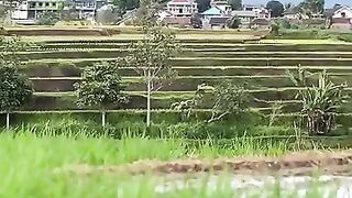 Suasana dipedesaan sore ini dengan view pegunungan yang indah sembari menunggu berbuka puasa dibulan ramadhan ????????