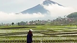 Cool air after the heavy rain in the countryside with the beautiful view of Mount Cikuray and Mount Papandayan