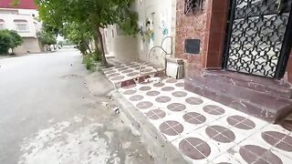 The white cat is very friendly and happy to have food.