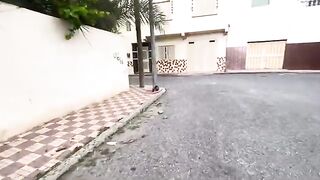 Hungry stray cats eating leftover food.