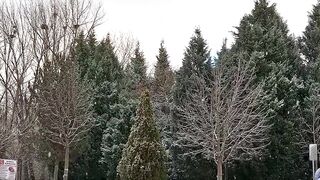 Winter solstice - peaceful winter urban scene in snowy cityscape | Trending HD Video