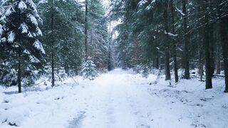 Winter Coat - id | Trending HD Video 26