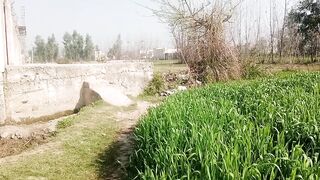 My Village 1