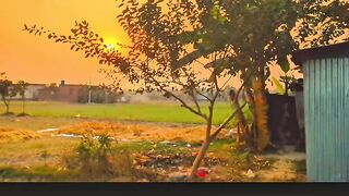 তাহলে ওঠো সবাই, ঘুমাইও না আর,যে জীবন চলে যায়,